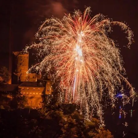 罗蕾莱维恩斯蒂尔布辰旅馆 招待所 3*