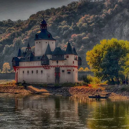 招待所 罗蕾莱维恩斯蒂尔布辰旅馆