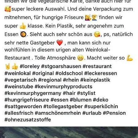 招待所 罗蕾莱维恩斯蒂尔布辰旅馆 3*