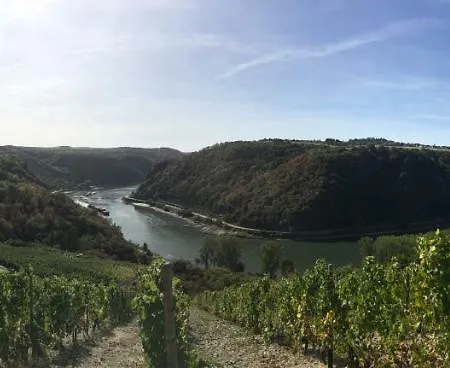 게스트하우스 Das Loreley Weinstuebchen 보드만 루트빅스하펜