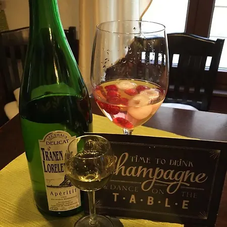 罗蕾莱维恩斯蒂尔布辰旅馆 3*