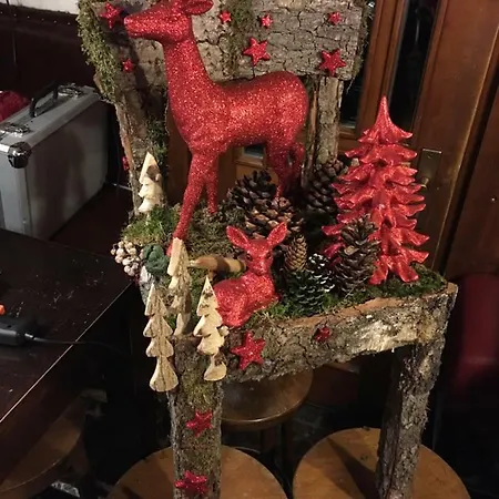 招待所 罗蕾莱维恩斯蒂尔布辰旅馆 3*